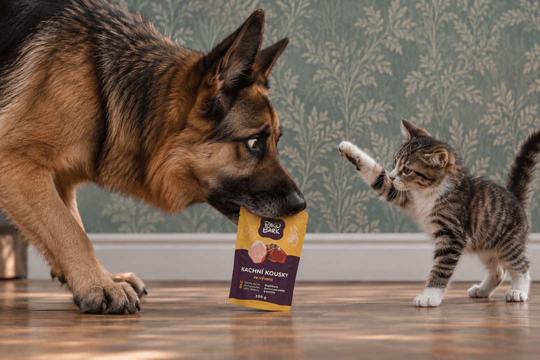 For dogs and cats. No science required.