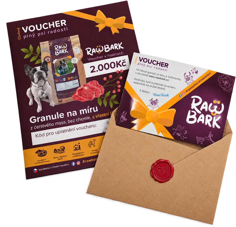 Two versions of the voucher
